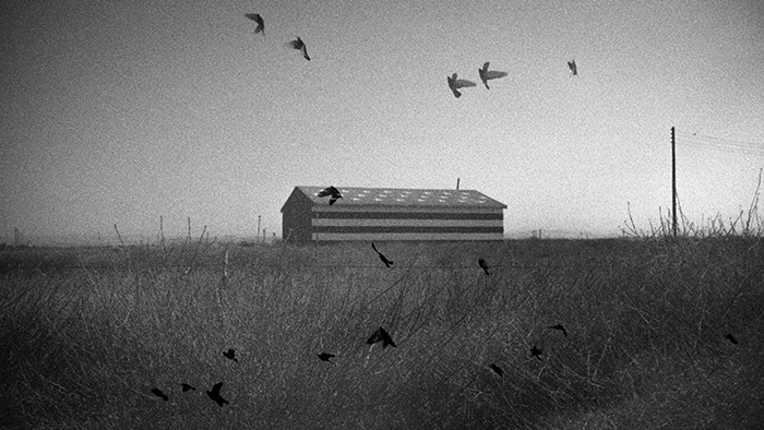 Fiction(s) Marine Lécuyer