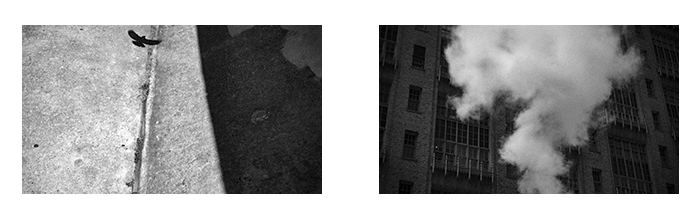 Fiction(s) Marine Lécuyer